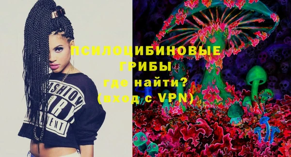 спиды Алексин