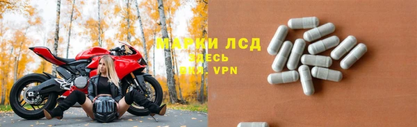 крисы Осинники