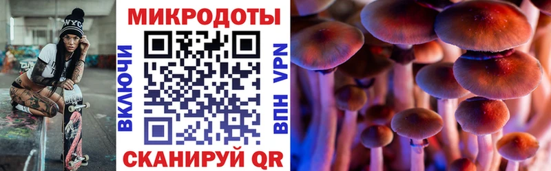 Псилоцибиновые грибы мухоморы  Олонец 